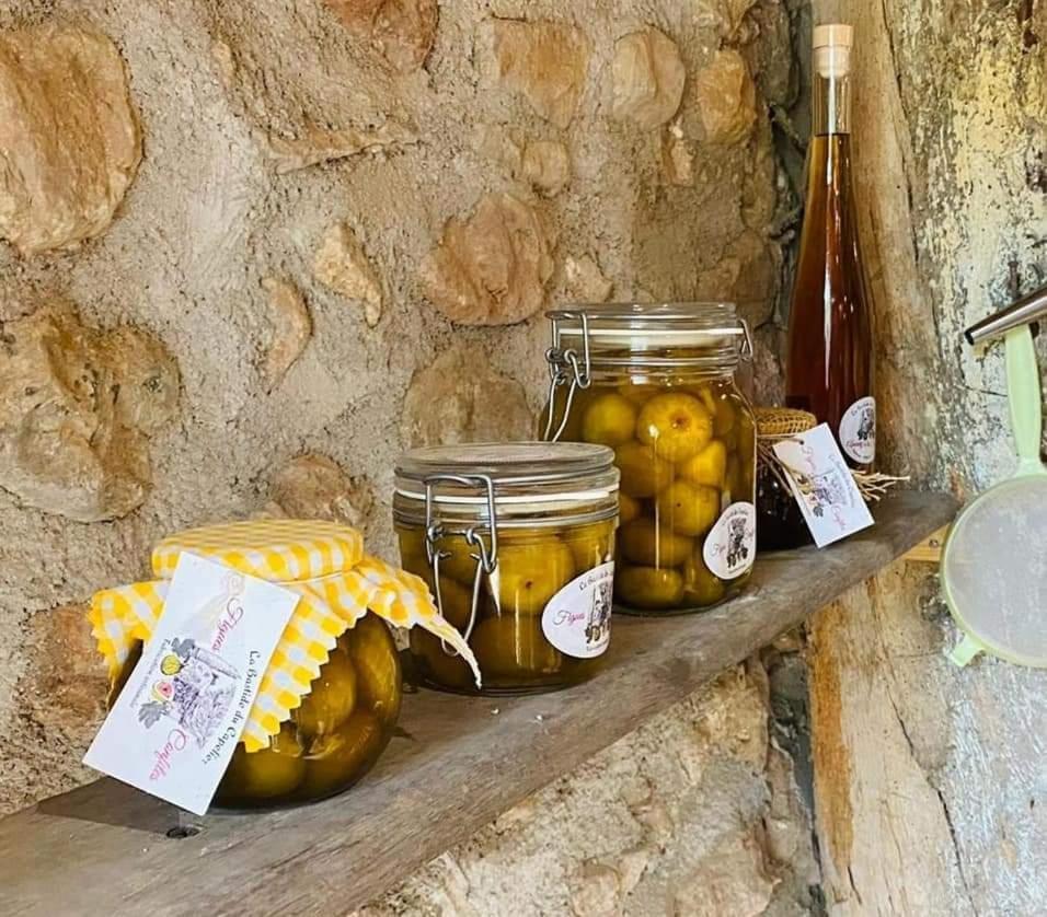 ساليرنيس La Bastide Du Capelier - Chambres D'Hotes Avec Baignoire Balneotherapie - 3 Etoiles المظهر الخارجي الصورة